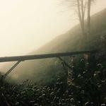 Abel Rempel Profile Picture