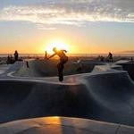 Providenci Johnston Profile Picture