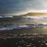 Sally Jacobs Profile Picture