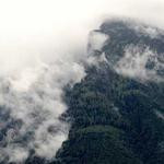 Ima Breitenberg Profile Picture